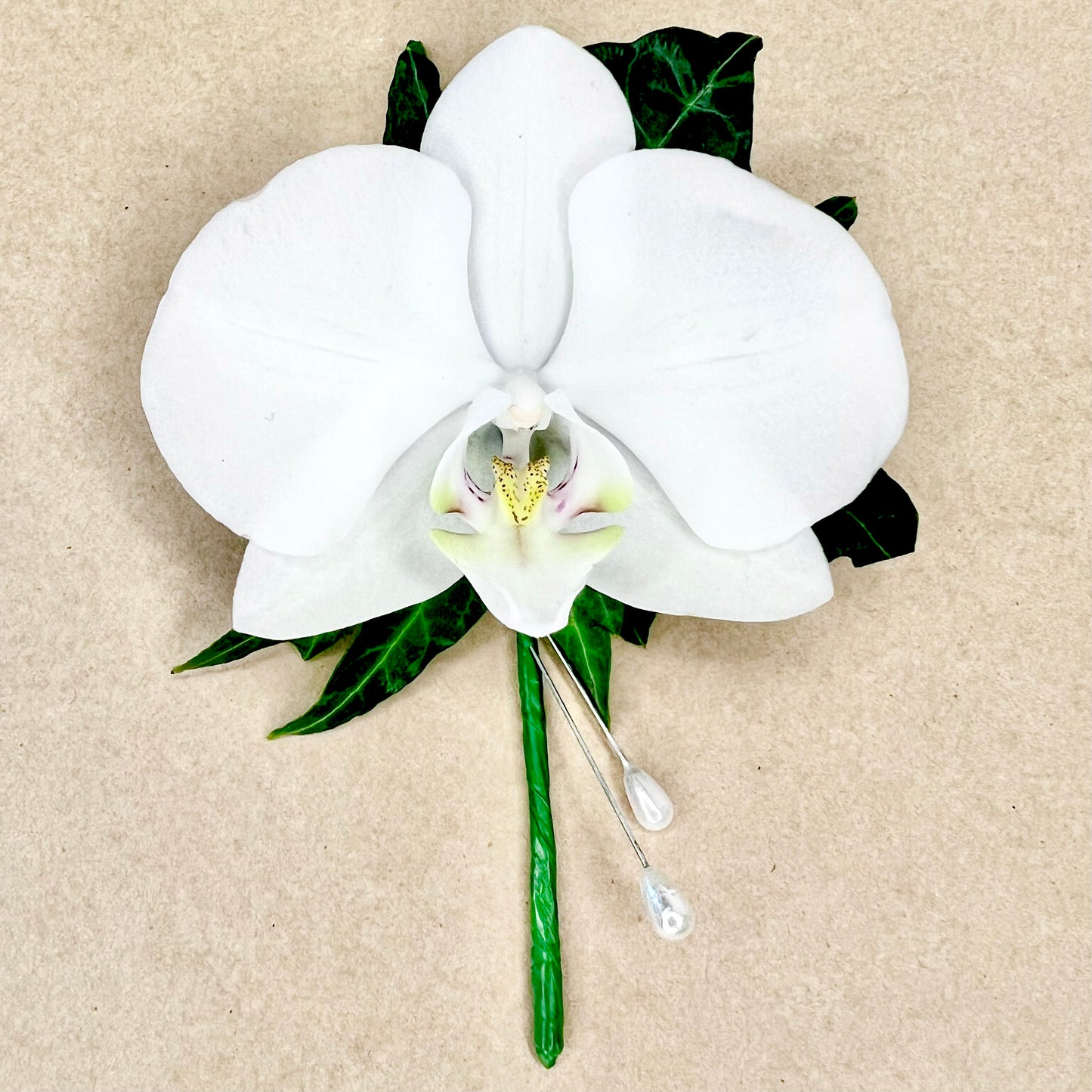 Buttonhole - Phalaenopsis Orchid