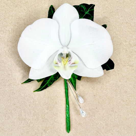 Buttonhole - Phalaenopsis Orchid