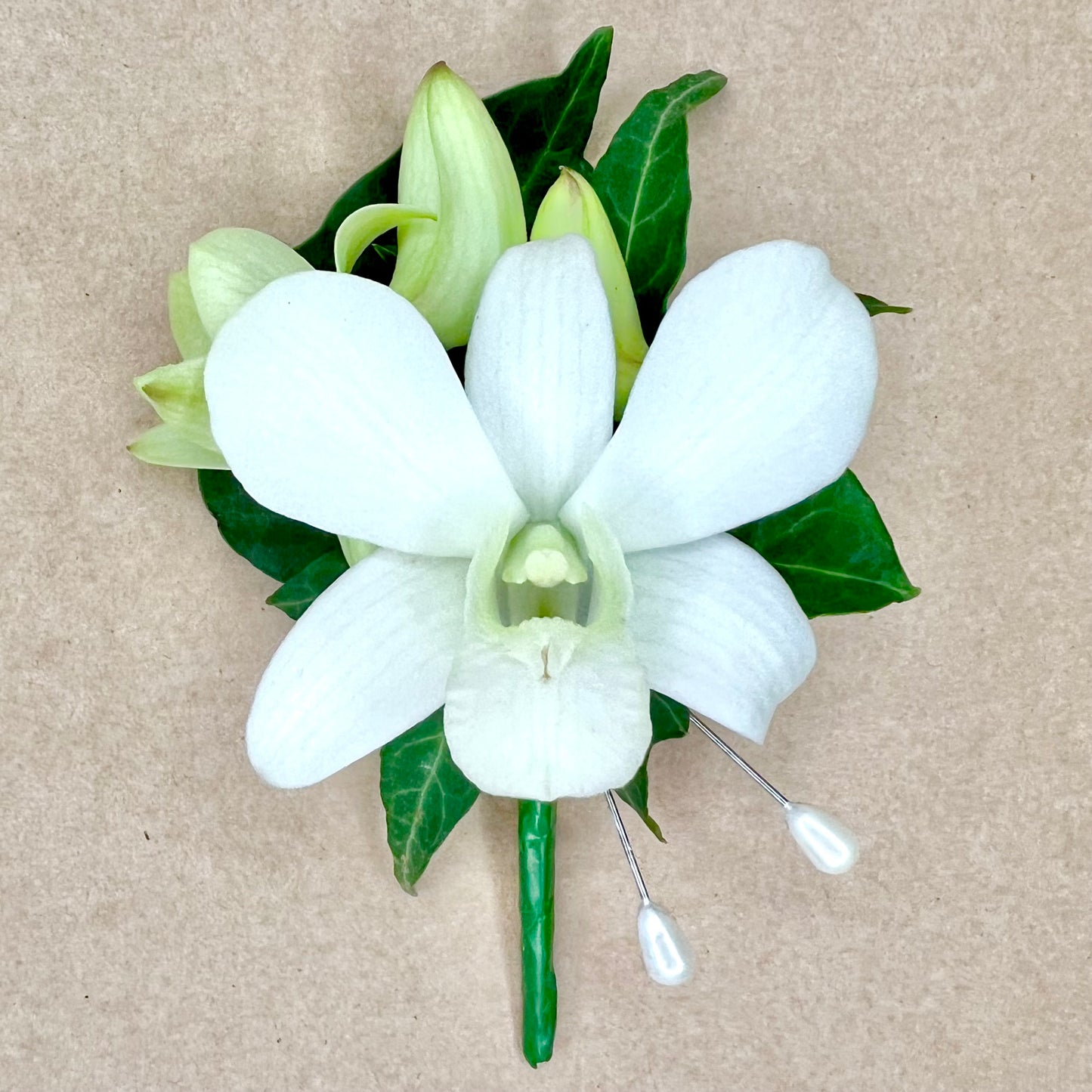 Buttonhole - Dendrobium Orchid