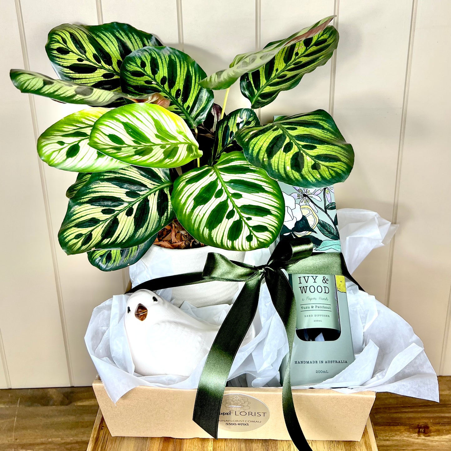 Plant Lover Gift Pack