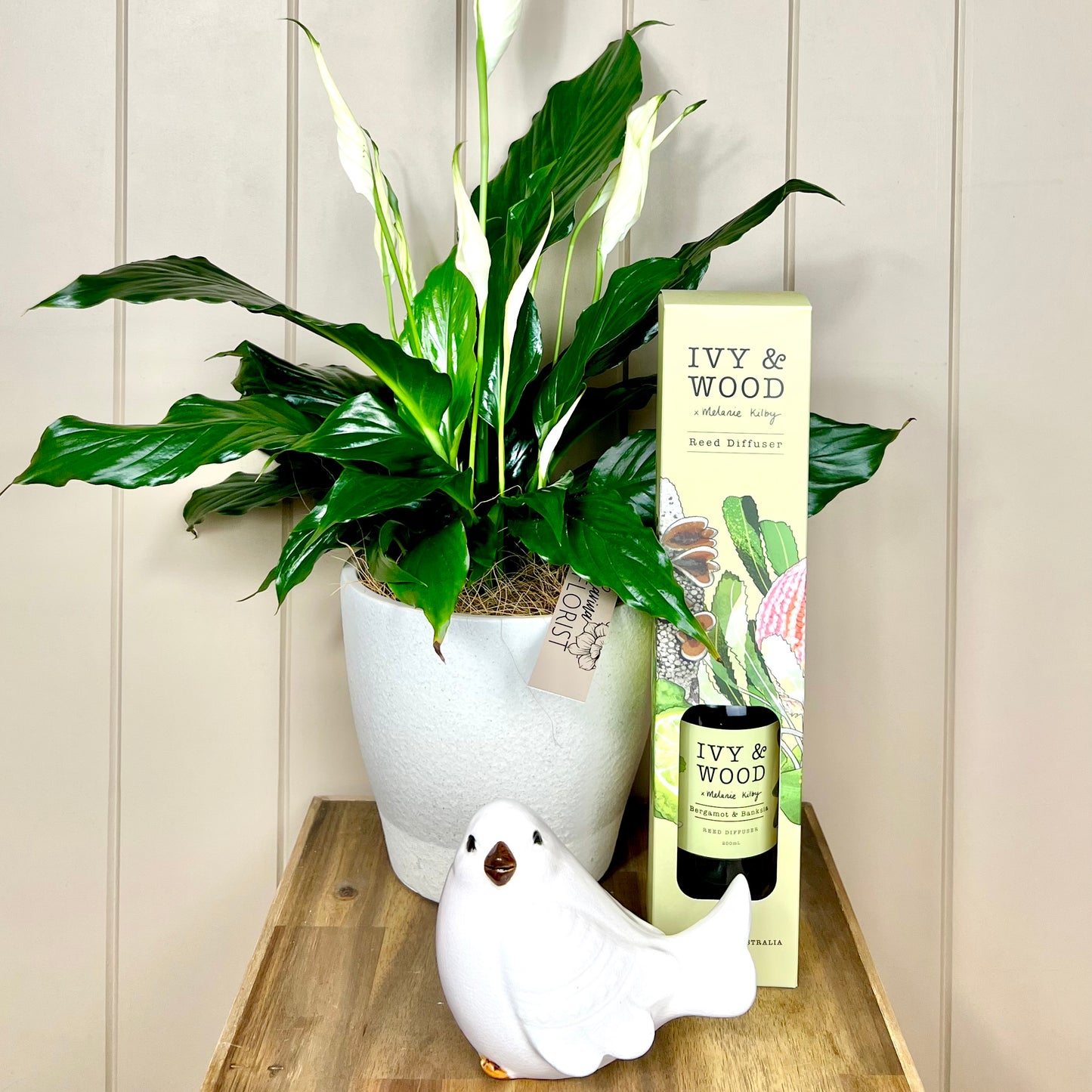 Plant Lover Gift Pack