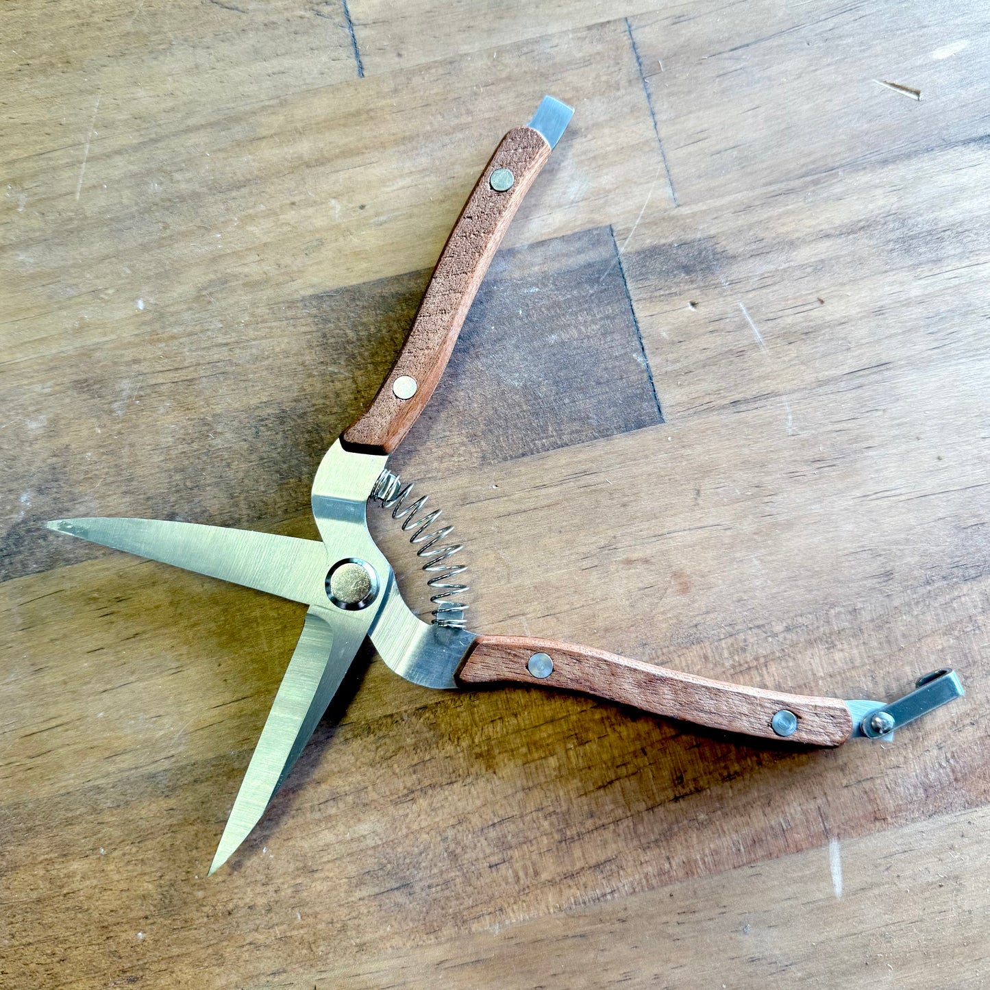 Herb Scissors