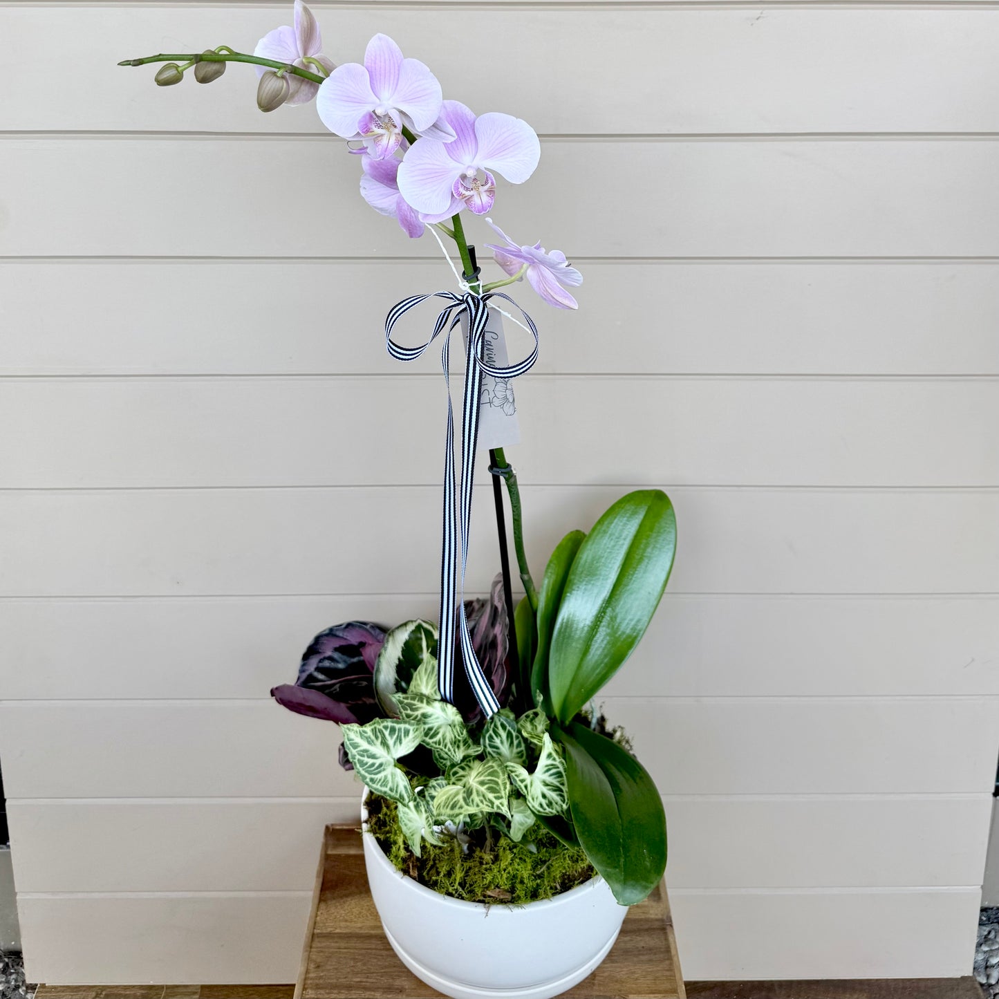 Orchid Garden