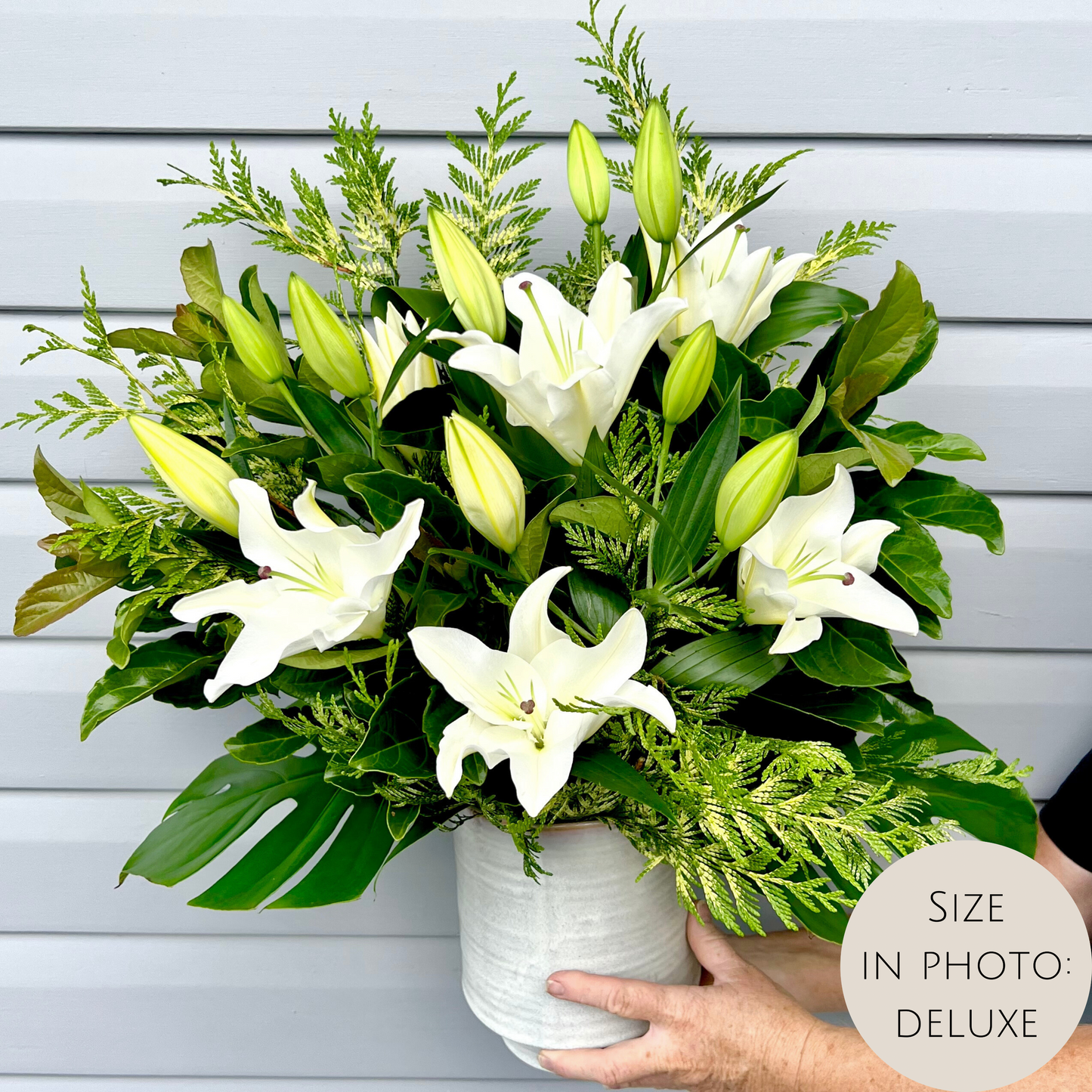 Oriental Lily