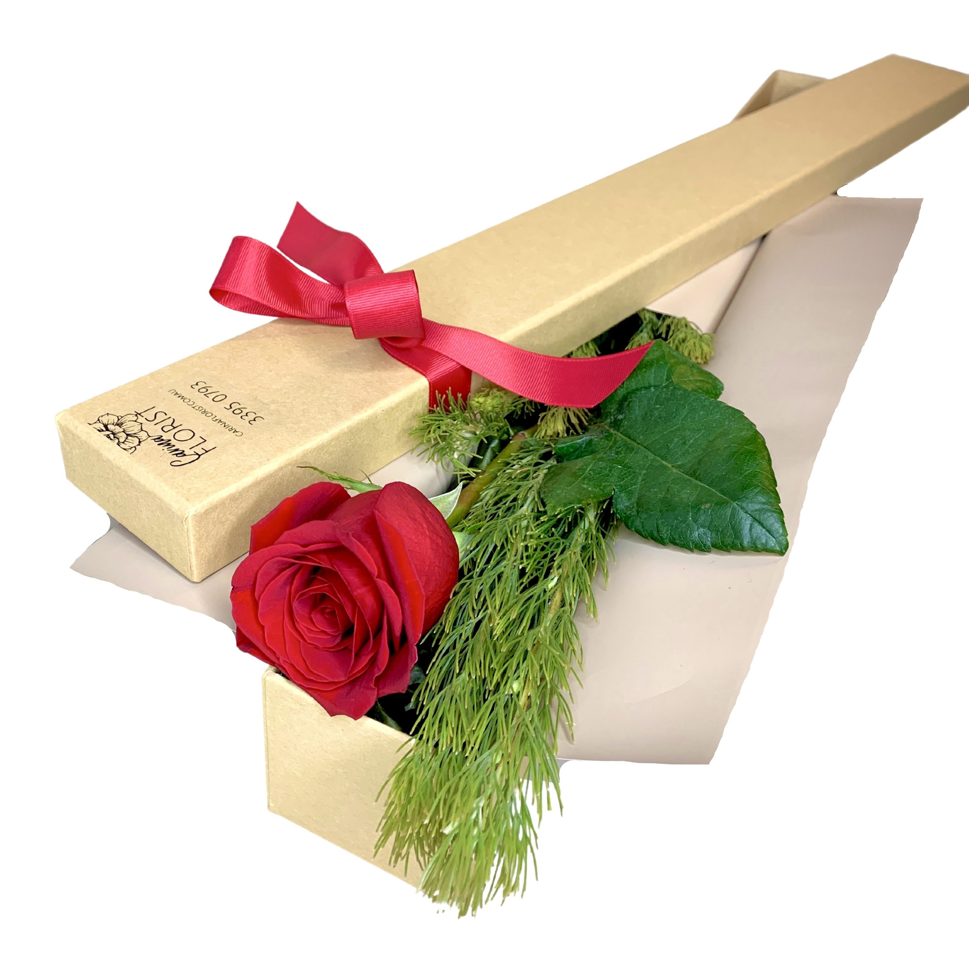 Single Rose in Presentation Box