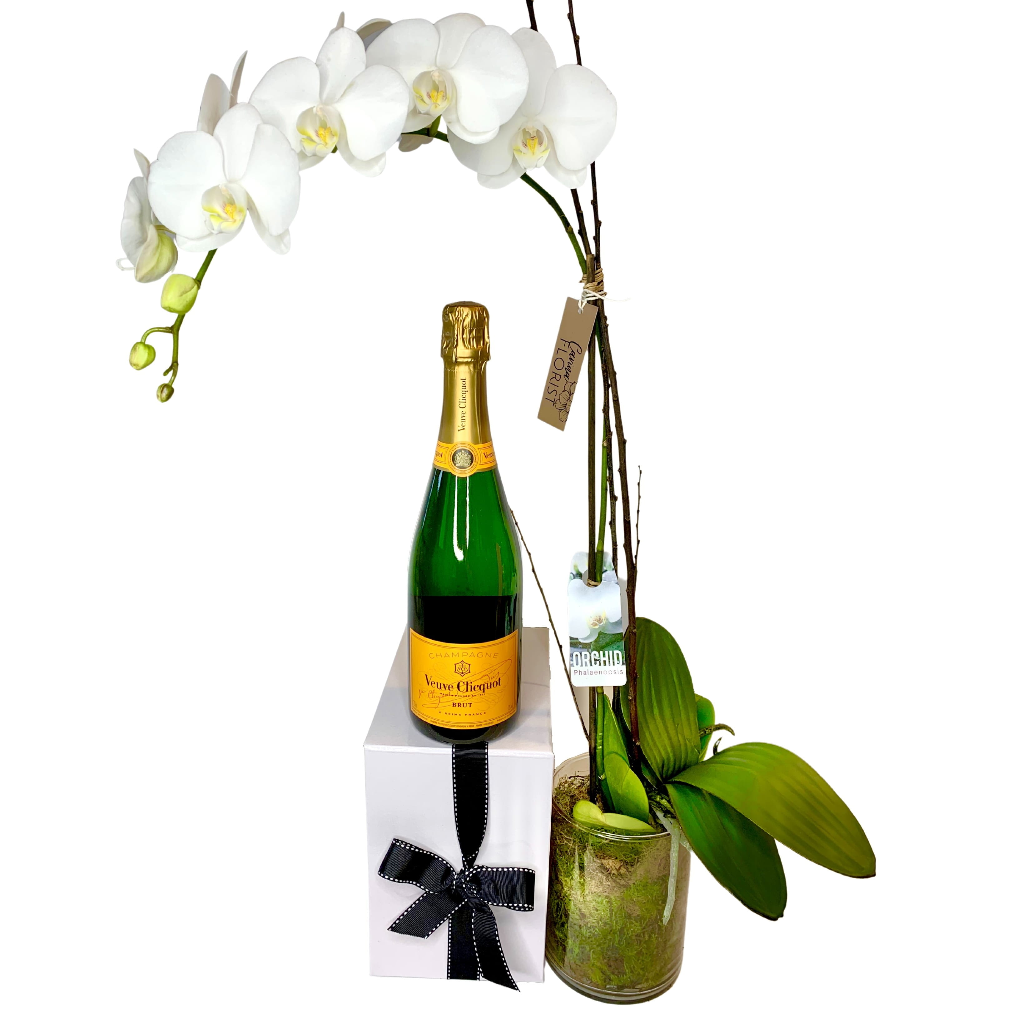 Gift Pack - Champagne & Orchid
