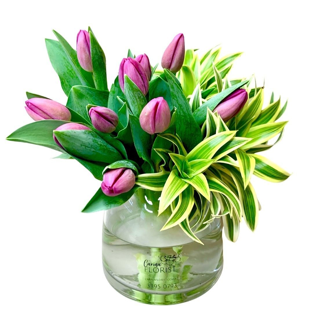 Mother's Tulips in a Vase