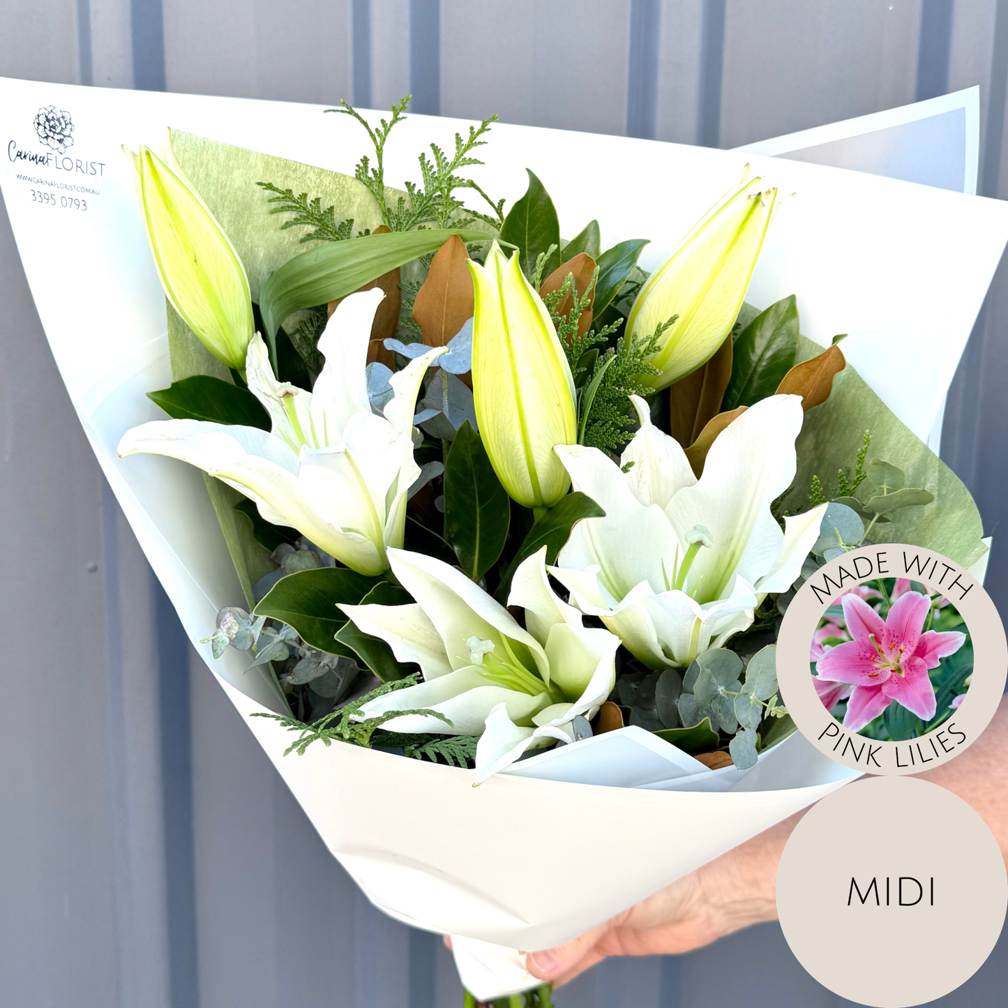 Oriental Lily