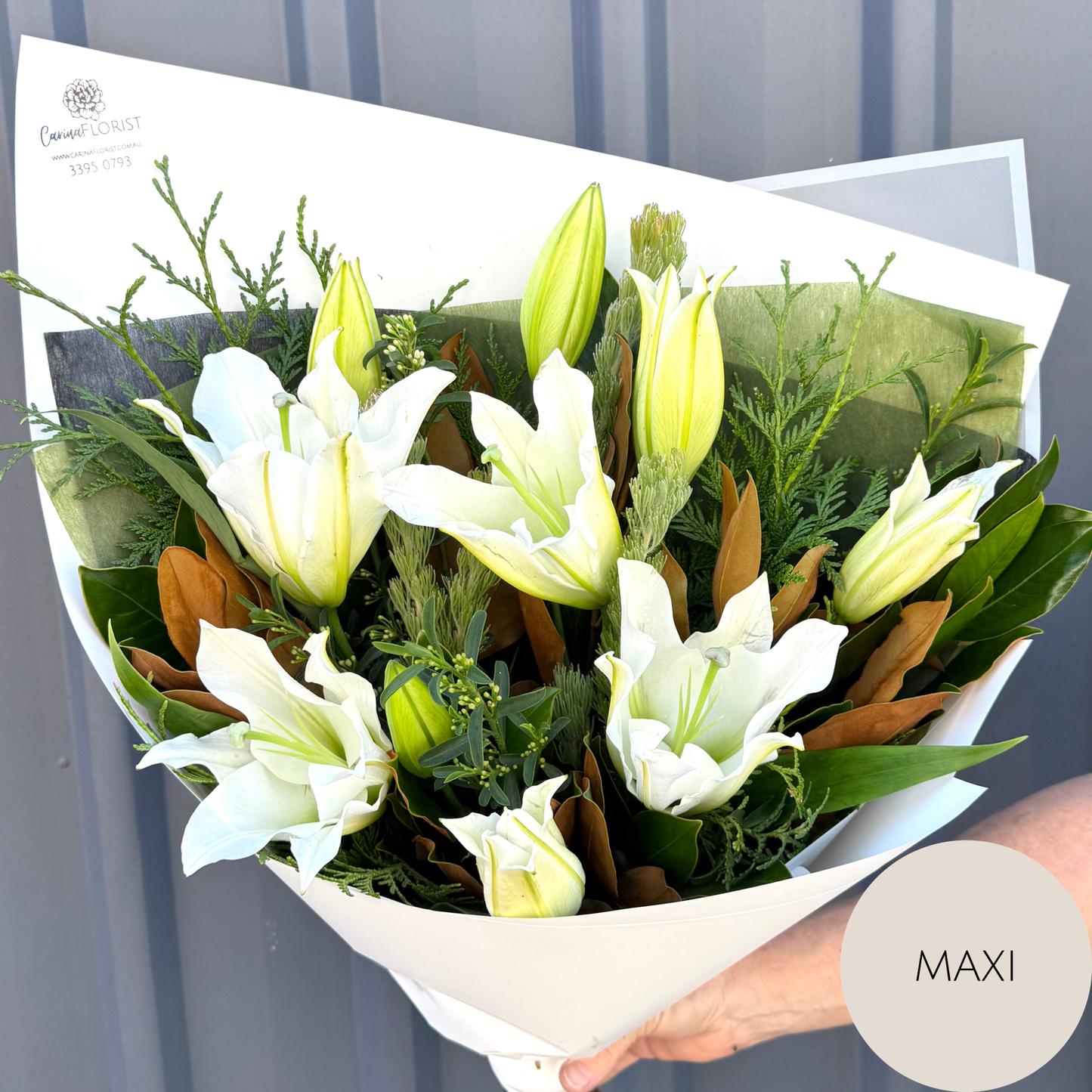Oriental Lily