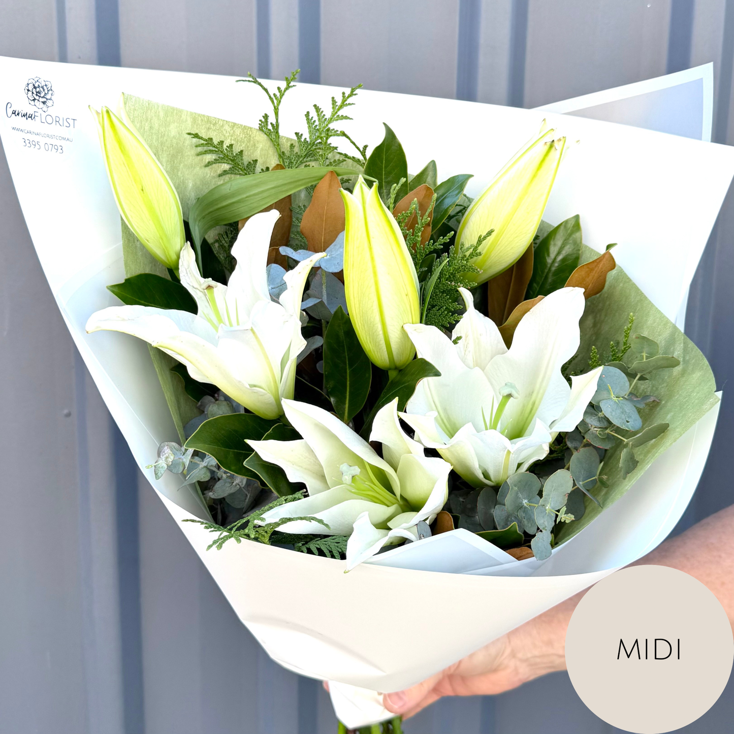 Oriental Lily