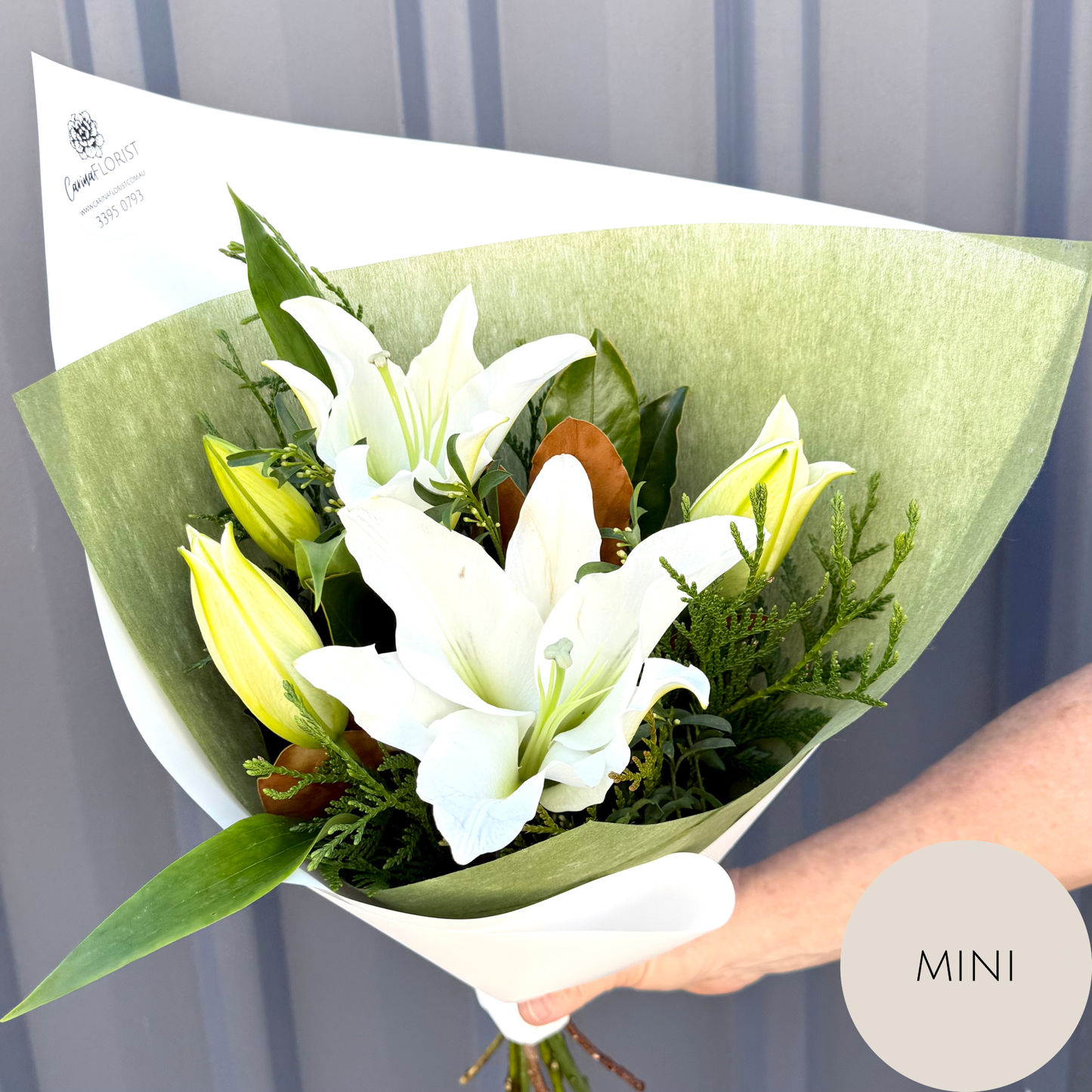 Oriental Lily