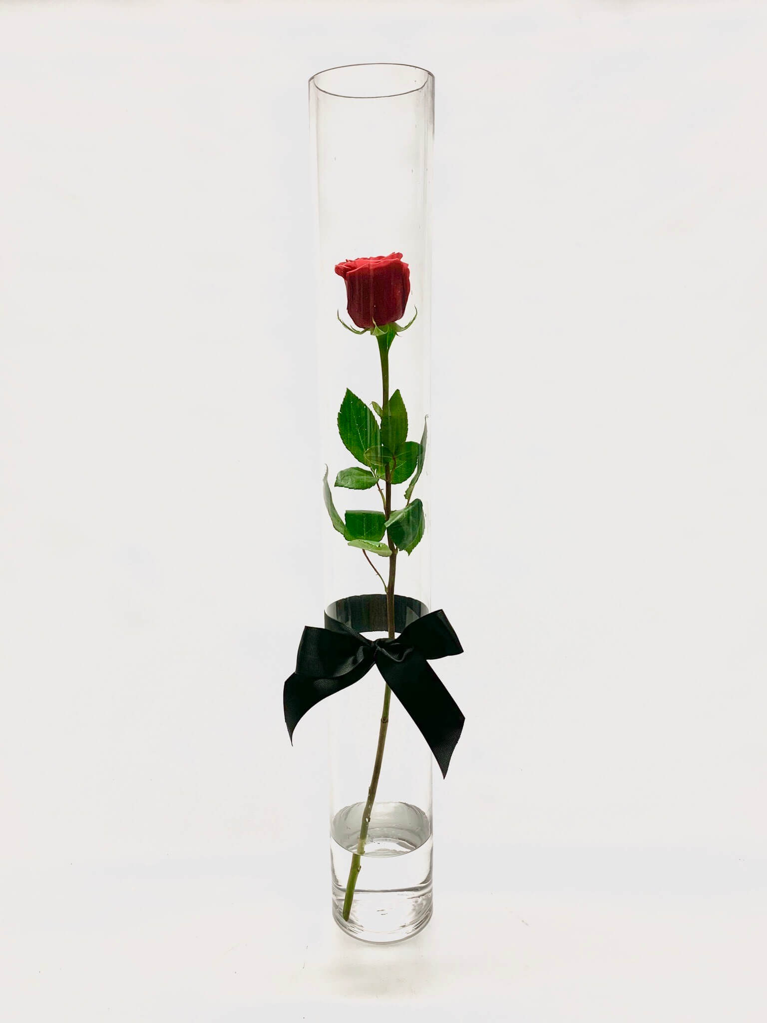 Single Rose inside specialty vase